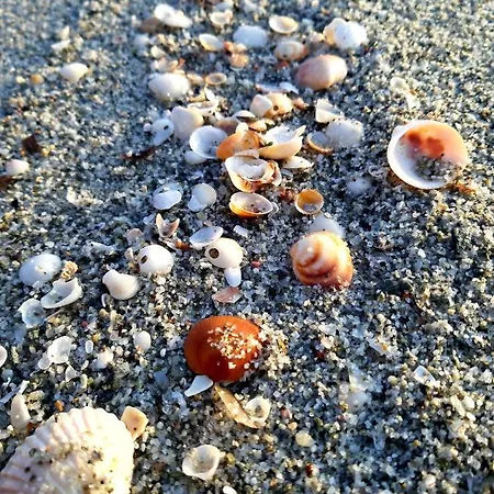 Casa Vacanza A 2 Passi Dalla Spiaggia Lejlighed